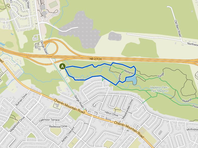 Floodplain, Cattail, and Wetland loop — Mapleton Park | Wanderung | Komoot
